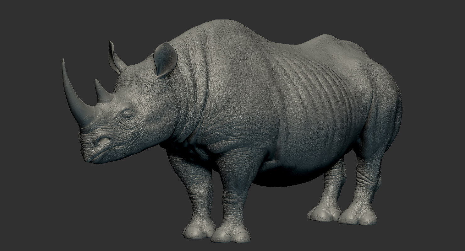 3d rhino download