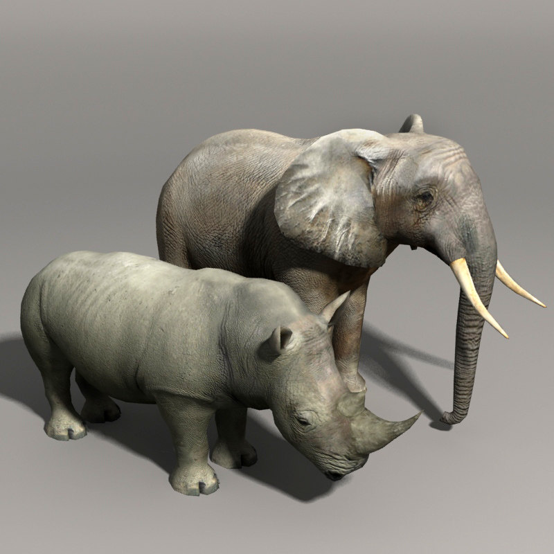 Rhinoceros 3d free tutorials